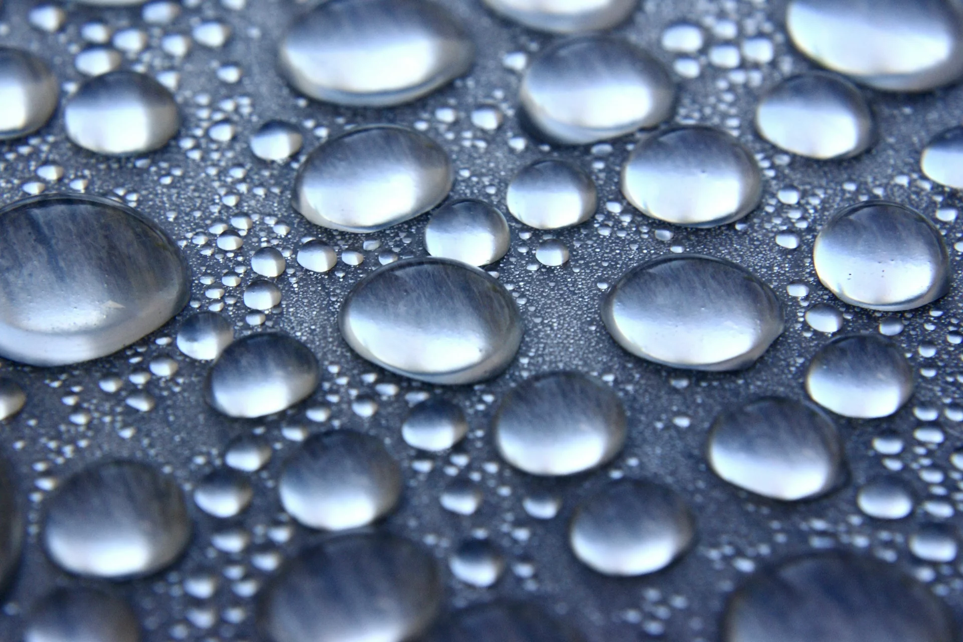 Mécanisme de pénétration de l'eau biodisponible dans la cellule